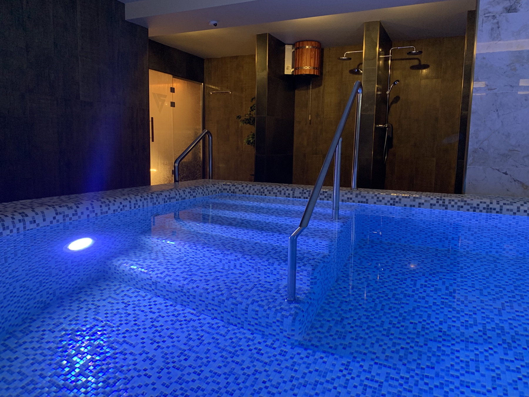 Ступени входа в бассейн Vertex SPA Hotel