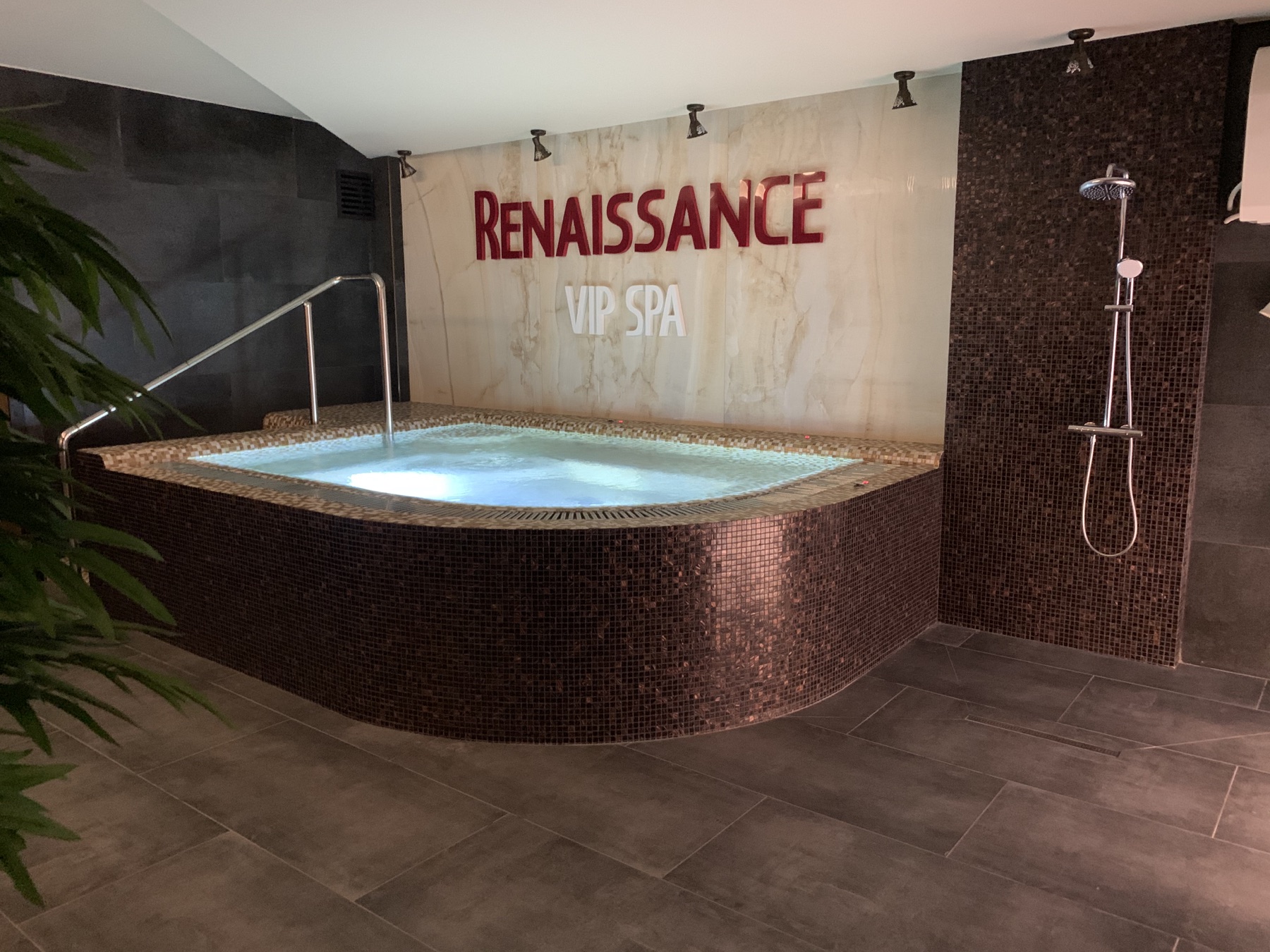 Отдельная VIP SPA-зона в комплексе Vertex SPA Hotel